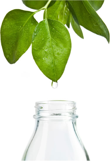 Qualità Natura Service